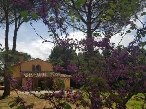 Il Montedoro - Guardistallo