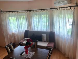 Apartments Simic
