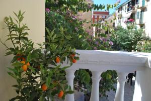 Lilliput Studio Corfu Old Town Corfu Greece