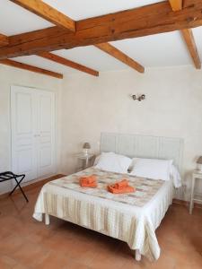 B&B / Chambres d'hotes Mas Clement - Chambre et table d'hotes : Chambre Double avec Terrasse