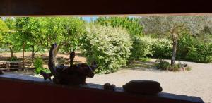 "SA DOMO DE SOS ARANZOS" img14