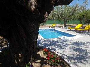 Olive Sense Villa Rhodes Greece