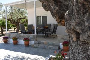 Olive Sense Villa Rhodes Greece