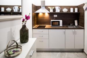 apartment NIKO 5 min to center