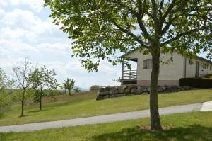 Les Moineaux du Domaine du Moulin - Vion