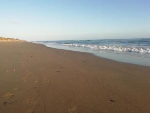 Bella Jacaranda Marbella AGOSTO SOLO POR QUINCENAS