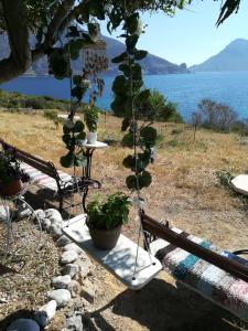 Sylvia's houses Kalymnos Greece