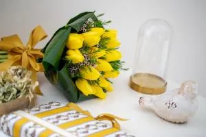 Domus Duorum - Senhora do Porto