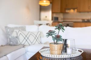 Paradise palms Apartments