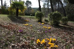 Chalets Il Sole : photos des chambres