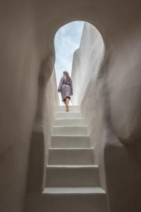 Art Maisons Oia Castle