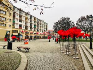 Apartament Delux 2 Legnica ul Kominka 16