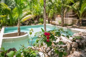 Hotel Buenavista Bacalar Jungle Experience