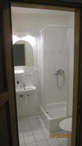 Pension Žacléřský Medvěd