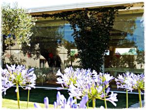 Masseria Torre Del Diamante