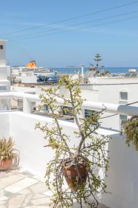 Naxos Center Houses Naxos Greece