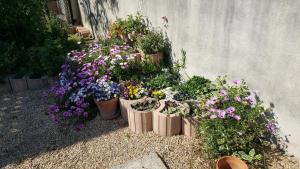 Appartements Appartement avec terrasse quartier Montplaisir : photos des chambres