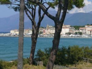 Appartements Saint Florent : photos des chambres