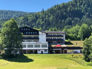 Hotel Sporthotel am &Ouml;tscher Lackenhof Austria
