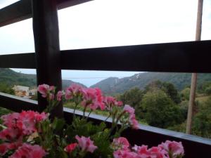 Hotel Petradi Pelion Greece