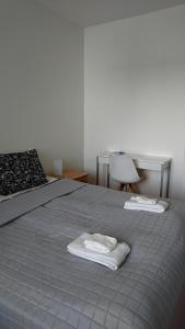 The cosy apartment with own private sauna and balcony