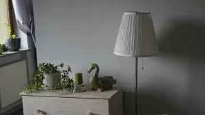 Zajazd Zielona Gęś - 普什切夫