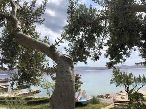 Apartment Milka by the Sea