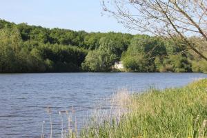 Maisons de vacances Country House - La Charbonniere : photos des chambres