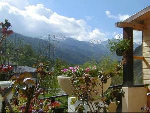 L'Ours Blanc photo 24