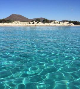 Appartamento di Andrea img15