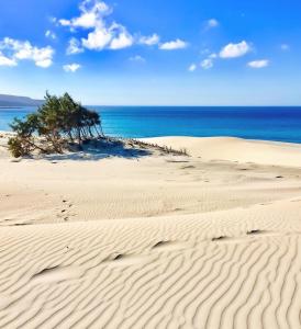 Appartamento di Andrea img16