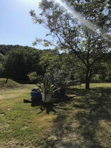 Kán-Forrest House with a View