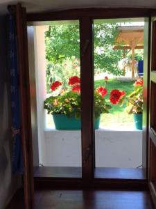 Kán-Forrest House with a View