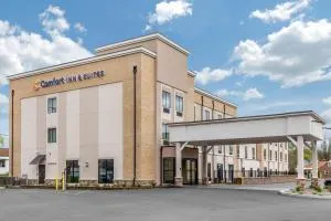 Comfort Inn & Suites Schenectady - Scotia - Schenectady