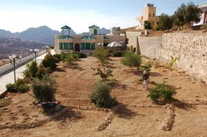 B&B Petra Fig Tree Villa