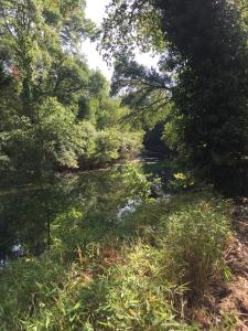 Appartements Maison Moutas : Appartement 2 Chambres