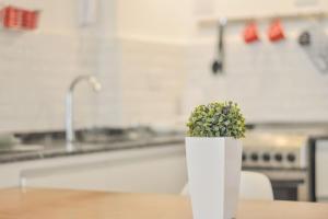 Apartamento en el mejor sitio de Recoleta