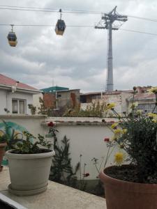 Casa Fusion Hotel Boutique