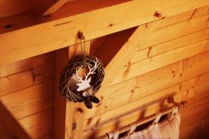 La Cabane D' I.s.a photo 24
