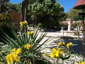 Appartements Les Florides : photos des chambres