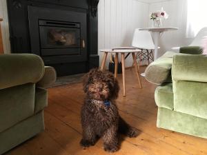 Abergldie Country Cottage