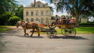 Hotels Domaine de Roiffe : photos des chambres