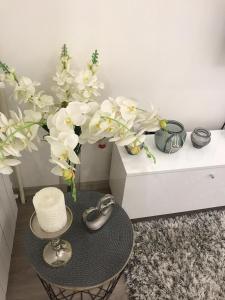 Studio Angel stan na dan Novi Sad