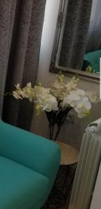 Studio Angel stan na dan Novi Sad