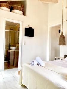 Alkestis Studios Kefalloniá Greece