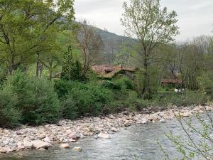Remanso del río Saja