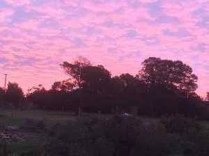 BARE NECESSITIES, NUDIST ONLY VENUE Naturist, clothes free - Slangrivier