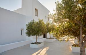 Milos Breeze Boutique Hotel Milos Greece