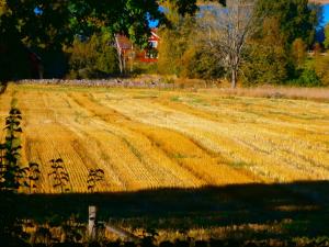 Rolsmo Norregård 16