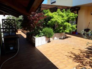 Appartamento la Terrazza